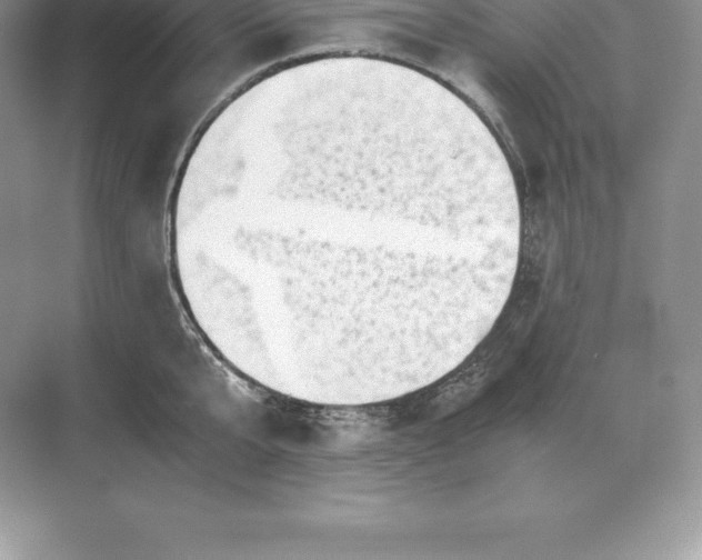 X0000071380807200607071840