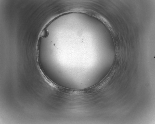 X0000071380808200607071840