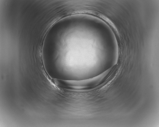 X0000071380809200607071840