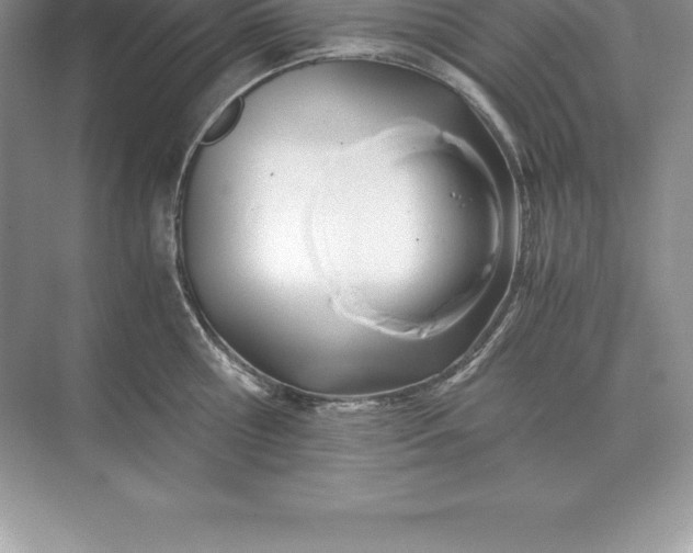 X0000071380810200607071840