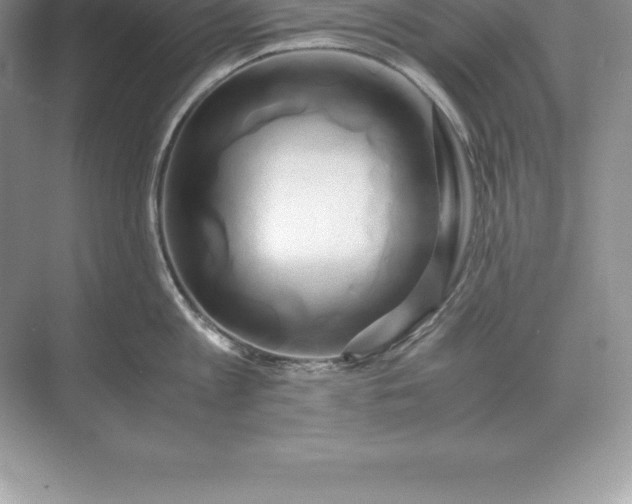 X0000071380813200607071840