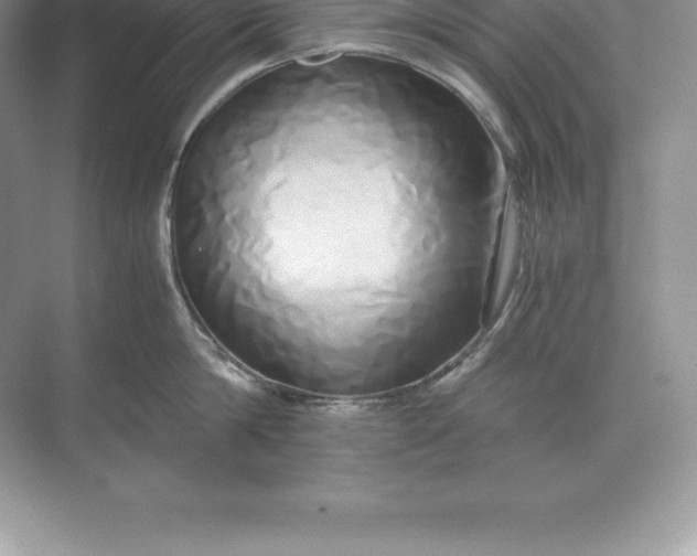 X0000071380814200607071840