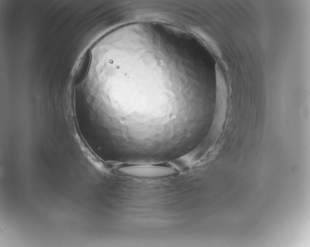 X0000071380816200607071840