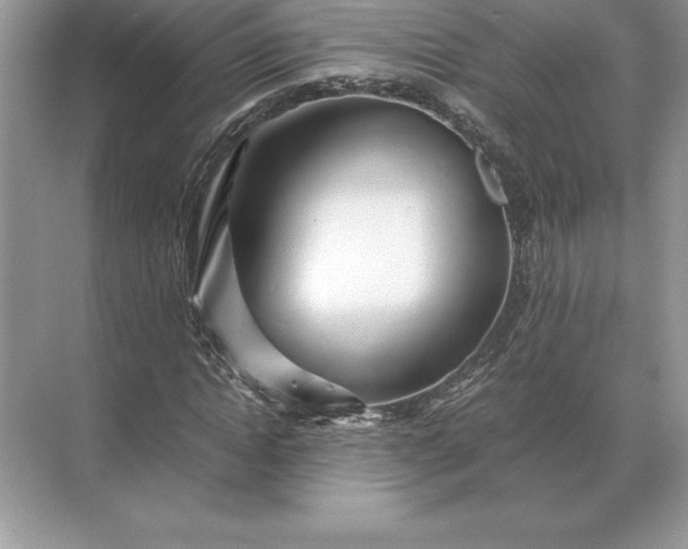 X0000071380822200607071839