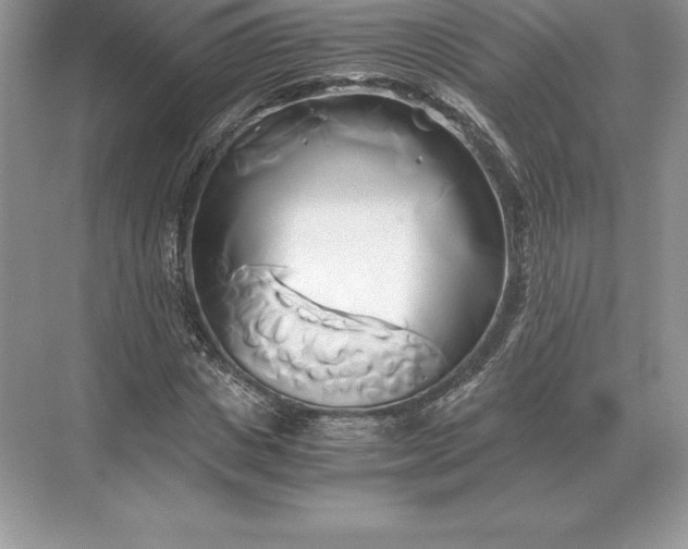 X0000071380825200607071839