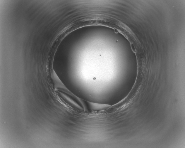 X0000071380826200607071839