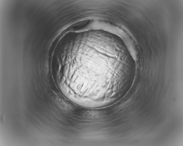 X0000071380829200607071839