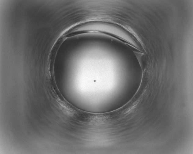 X0000071380830200607071839