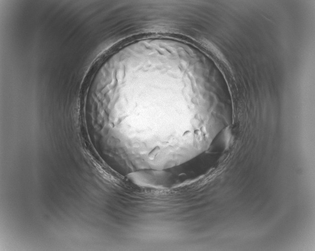 X0000071380831200607071839