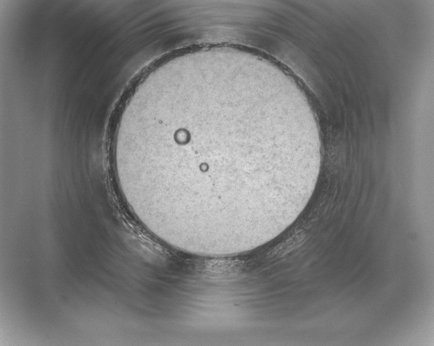 X0000071380832200607071839