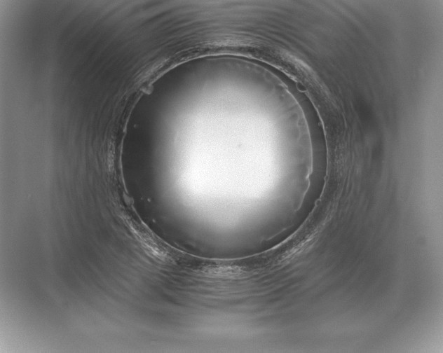 X0000071380833200607071839