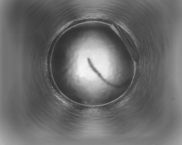 X0000071380834200607071839