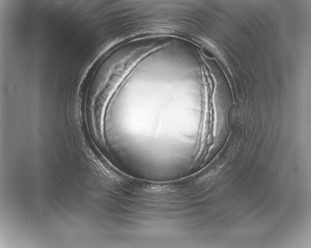 X0000071380835200607071839