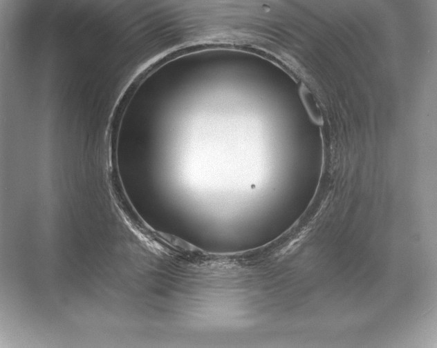 X0000071380838200607071839