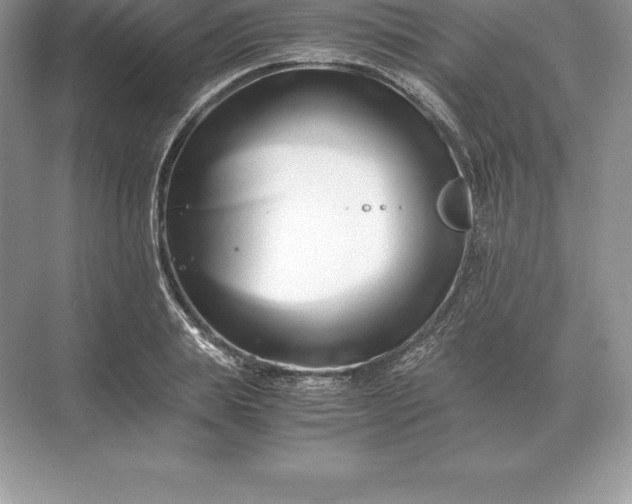 X0000071380839200607071839