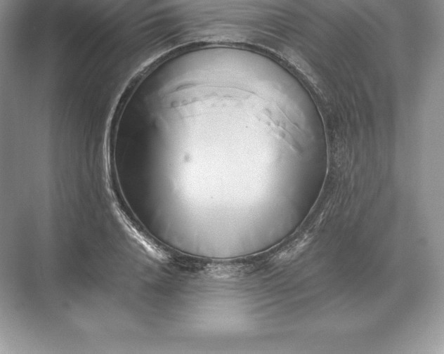 X0000071380840200607071839