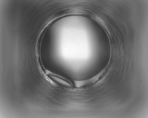 X0000071380843200607071839