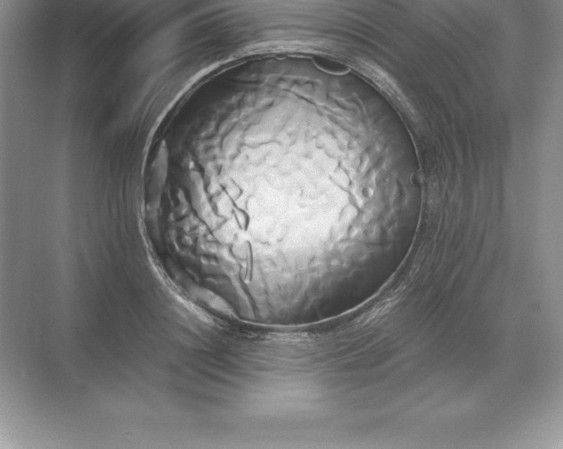 X0000071380844200607071839