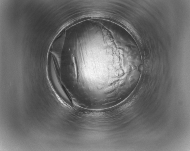 X0000071380845200607071839