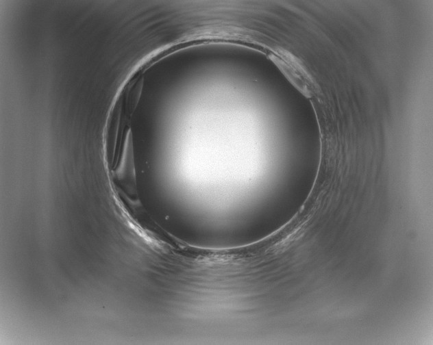 X0000071380846200607071839