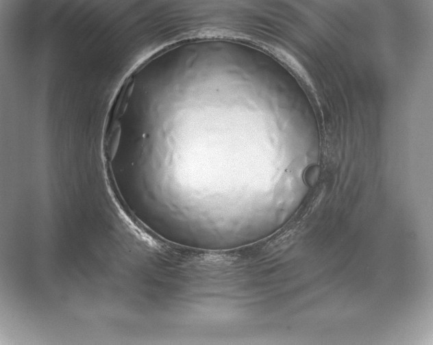 X0000071380847200607071839