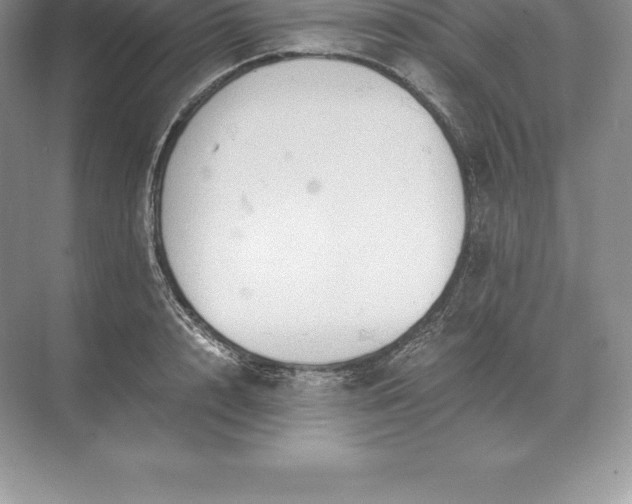 X0000071380848200607071839