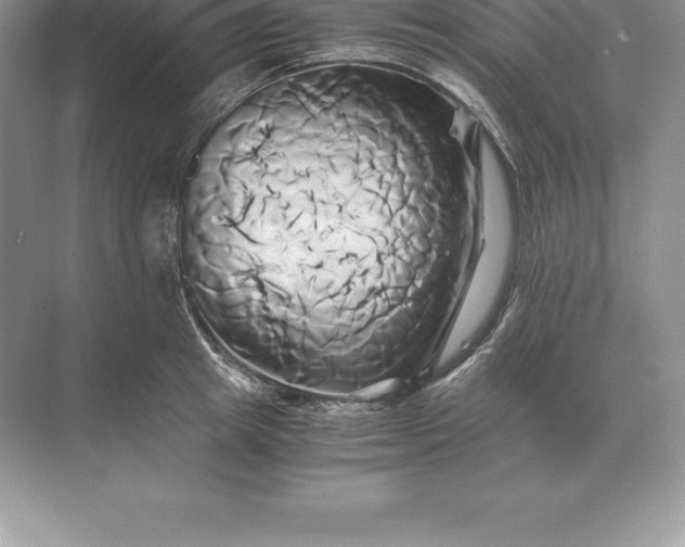 X0000071380849200607071840