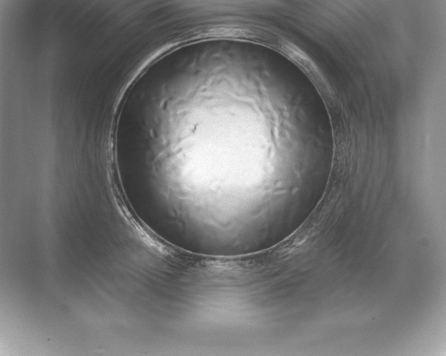 X0000071380852200607071840