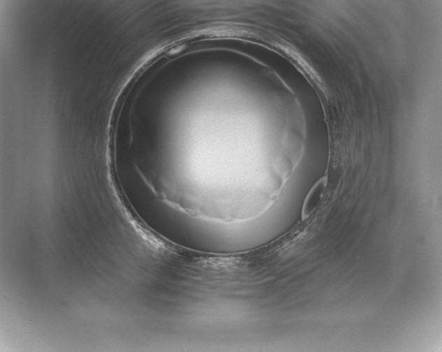 X0000071380853200607071840