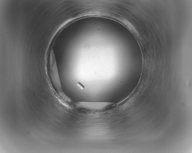 X0000071380854200607071840