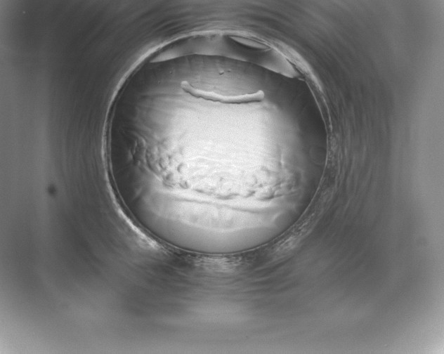 X0000071380855200607071840