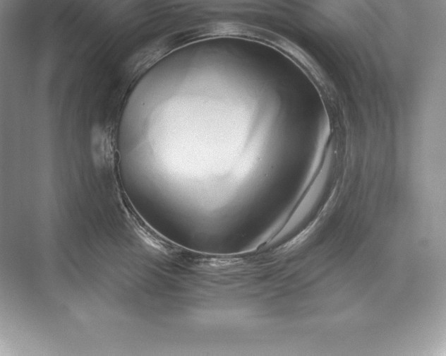 X0000071380857200607071840