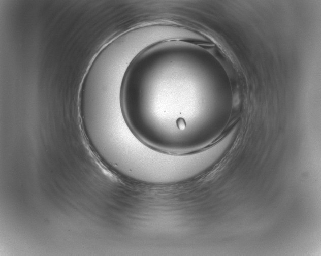 X0000071380858200607071840