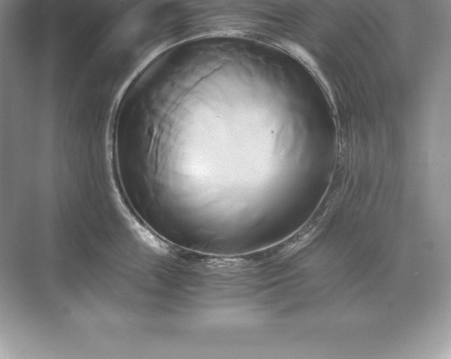 X0000071380859200607071840