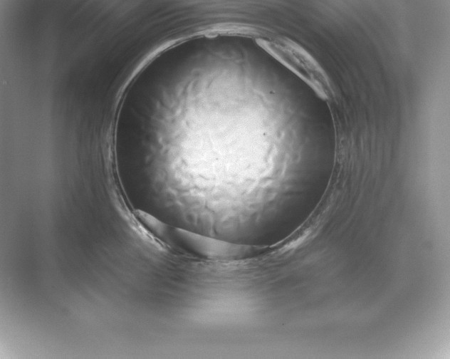 X0000071380860200607071840