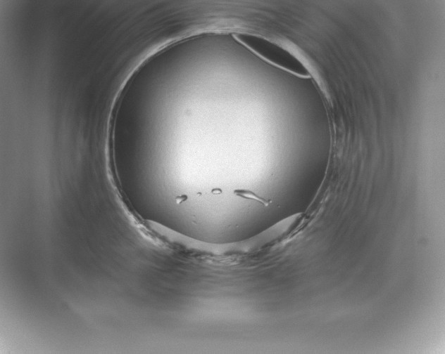 X0000071380861200607071840