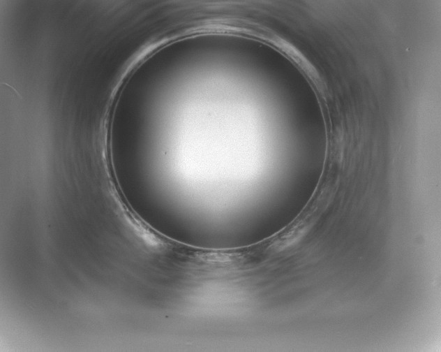 X0000071380862200607071840