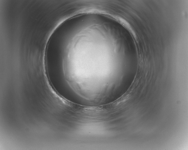 X0000071380863200607071840