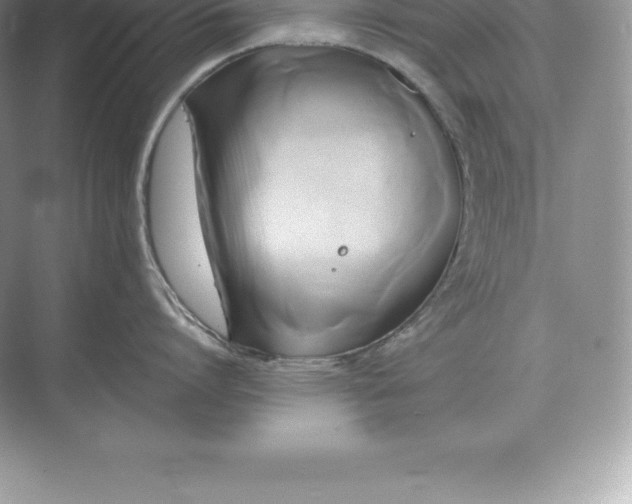 X0000071380864200607071840