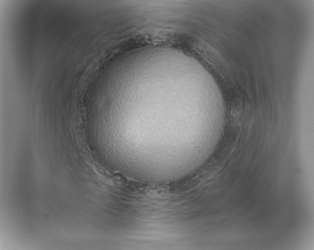 X0000071380865200607071839