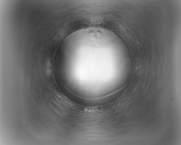 X0000071380866200607071839