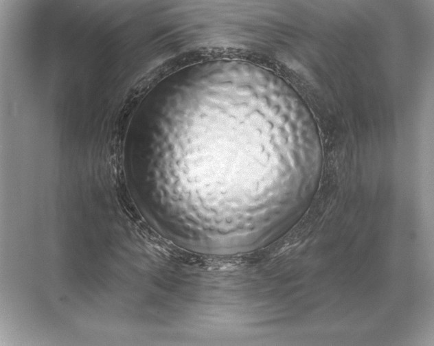 X0000071380870200607071839