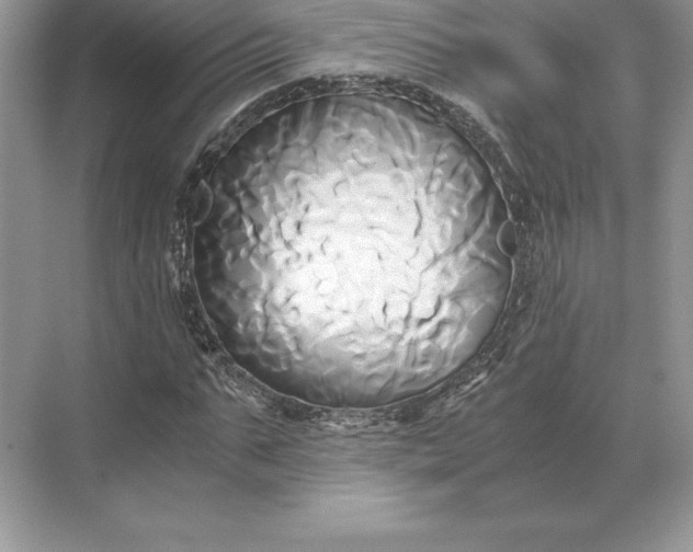 X0000071380871200607071839