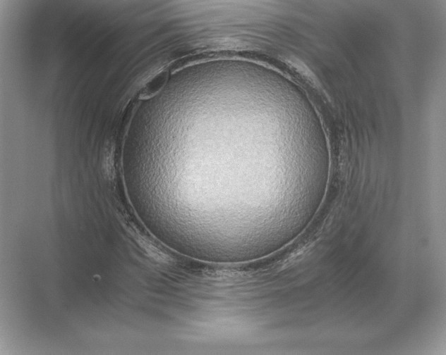 X0000071380873200607071839