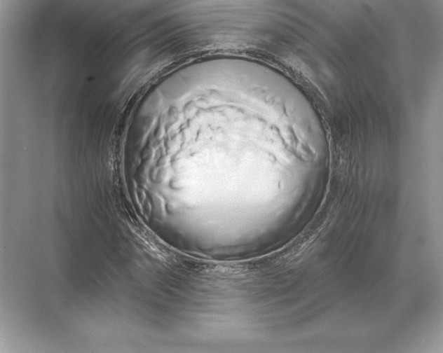 X0000071380874200607071839