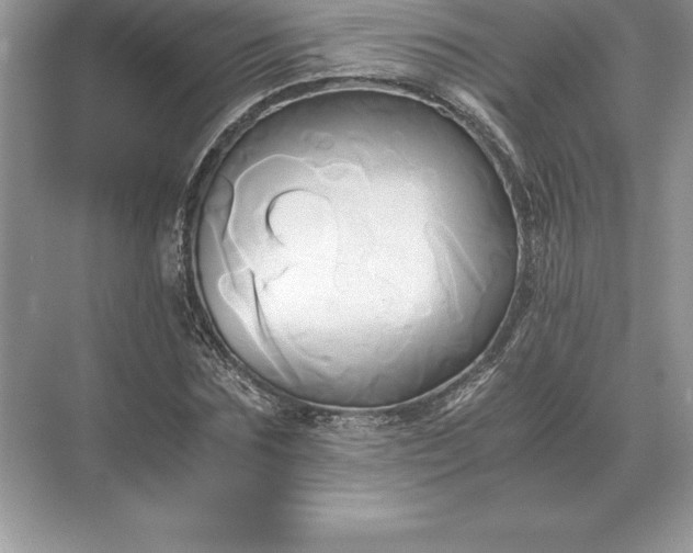 X0000071380875200607071839