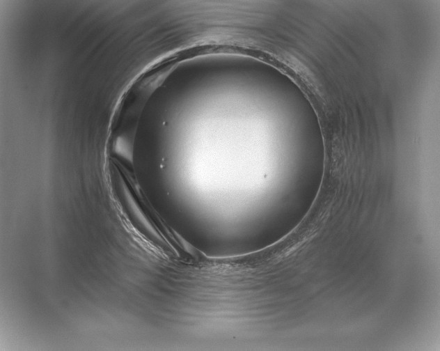 X0000071380880200607071839