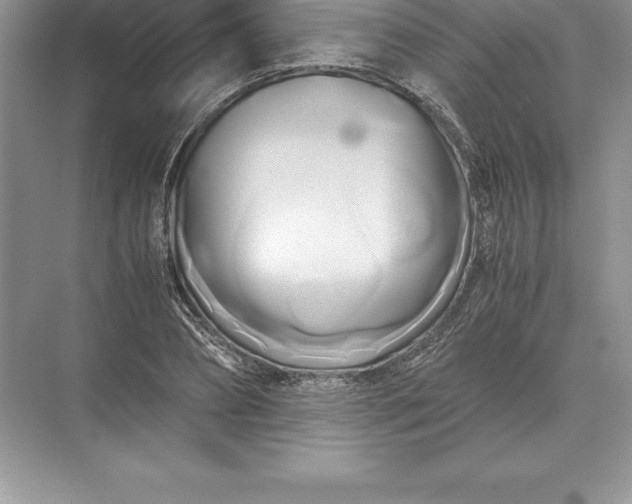 X0000071380882200607071839