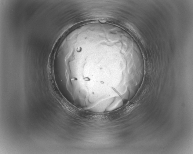 X0000071380883200607071839