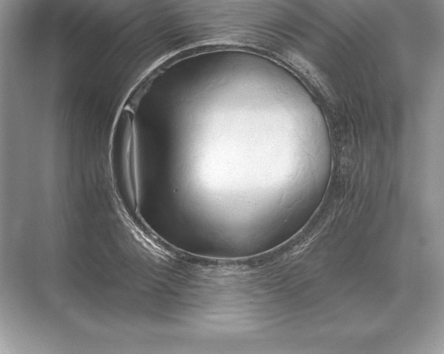 X0000071380884200607071839